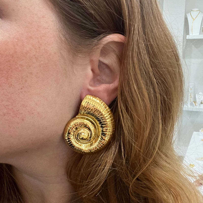 Sea Shell Stud Earrings