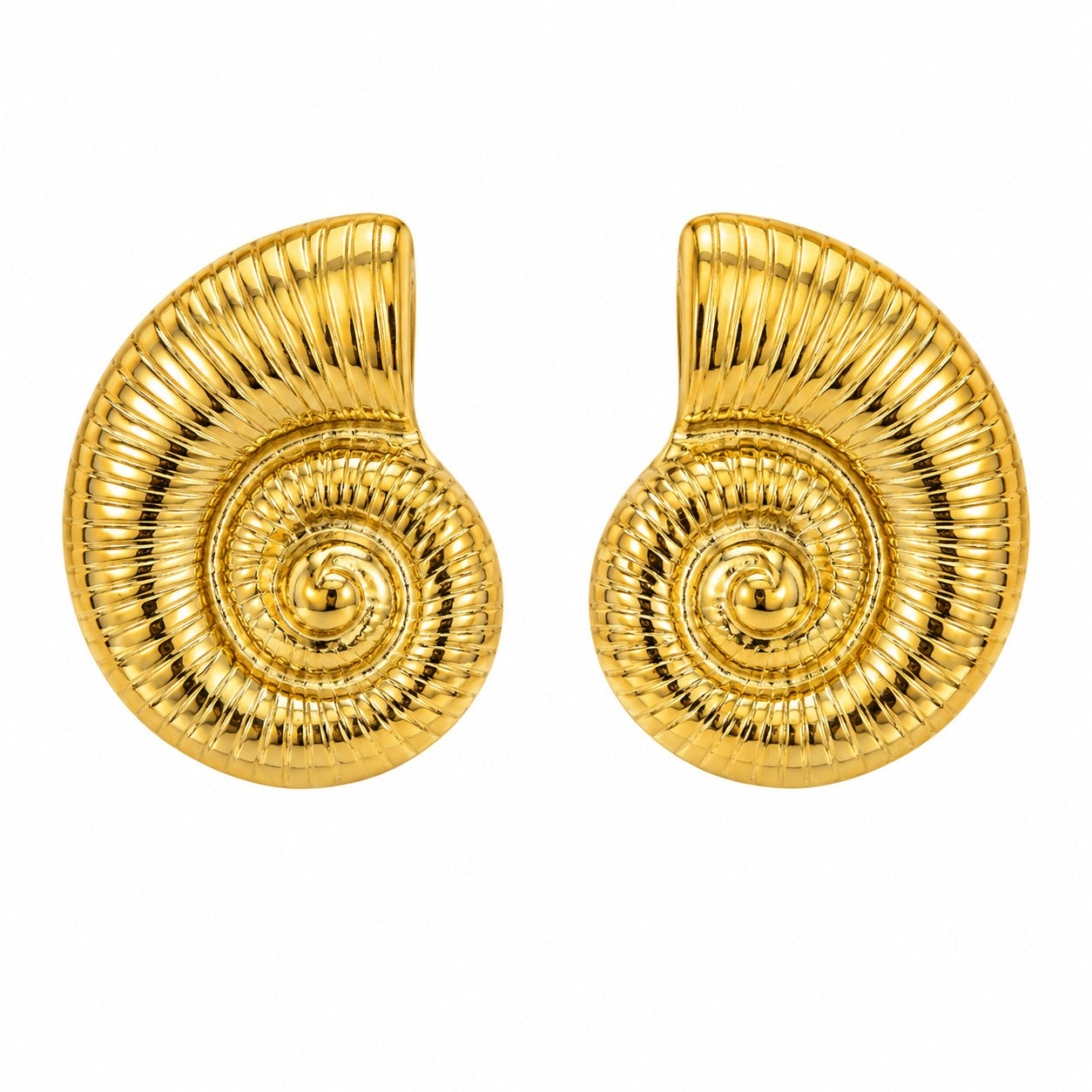 Sea Shell Stud Earrings